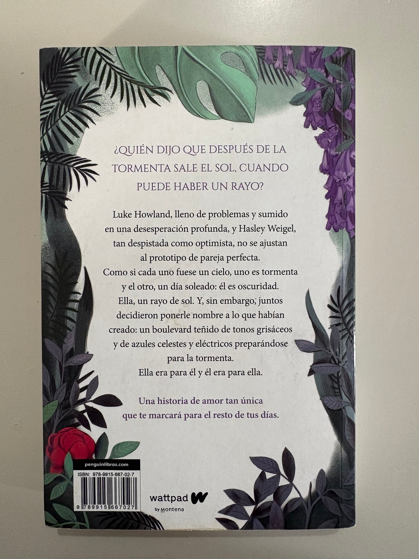 Boulevard: La versión de Flor (Libro 1) – Flor M. Salvador
