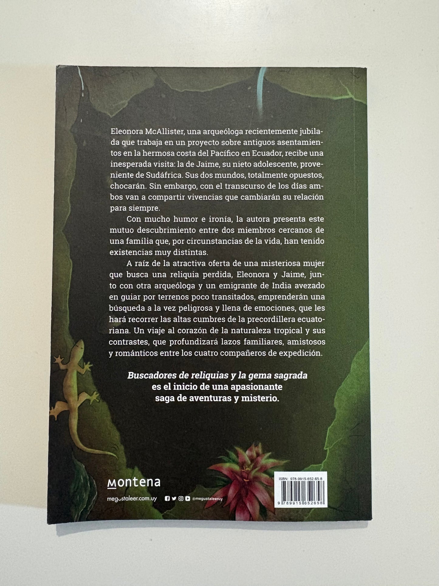 Buscadores de reliquias y la gema sagrada - Helen Velando