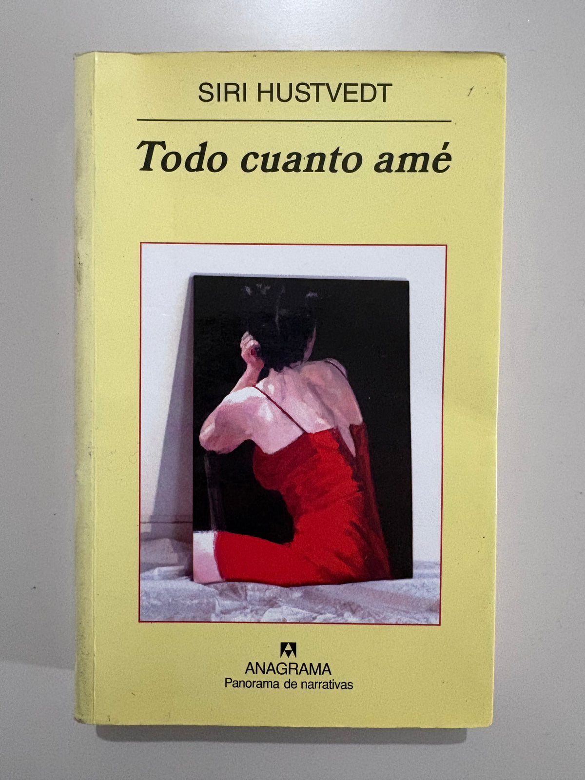 Todo cuanto amé – Siri Hustvedt