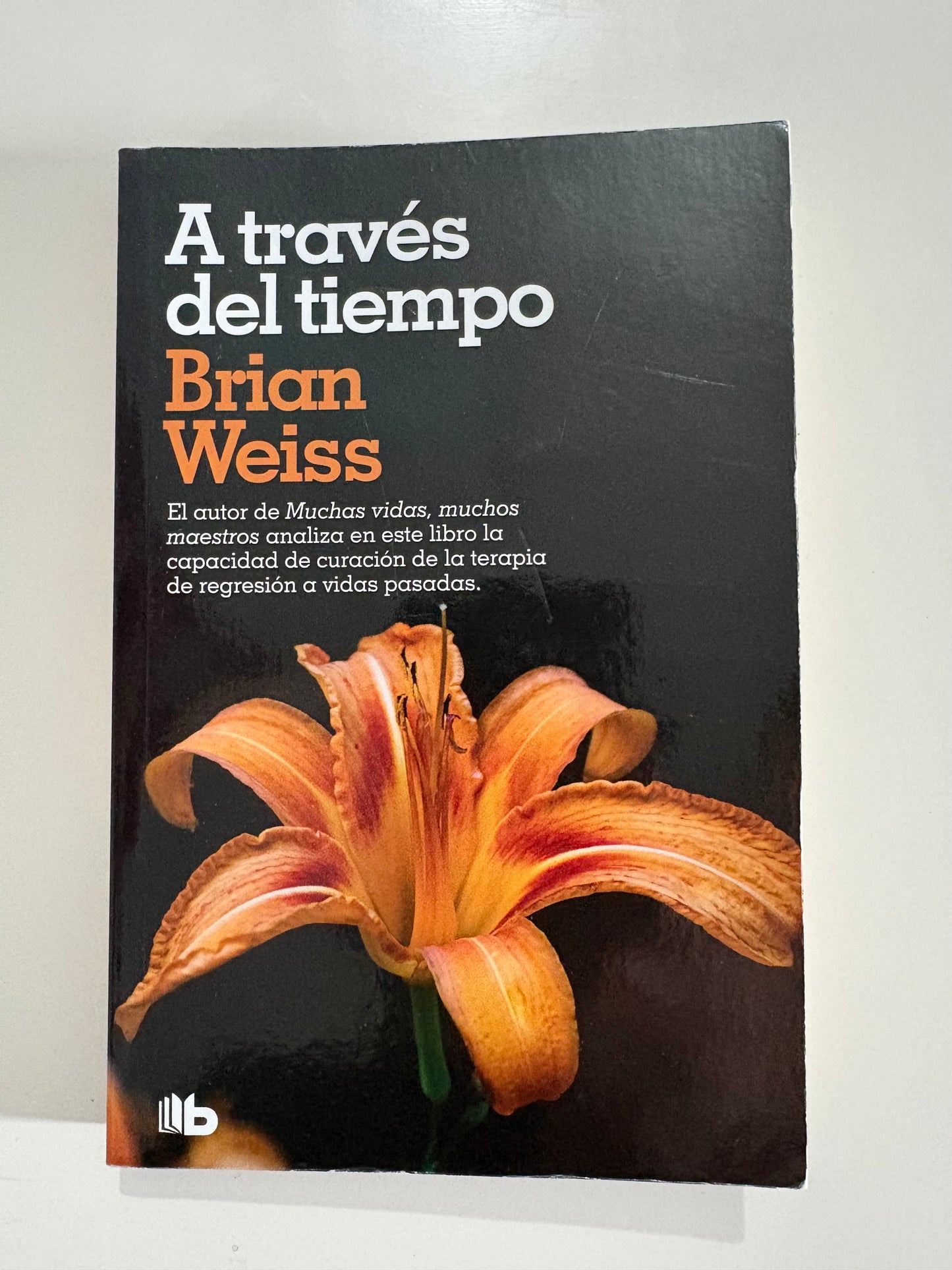 A través del tiempo - Brian Weiss