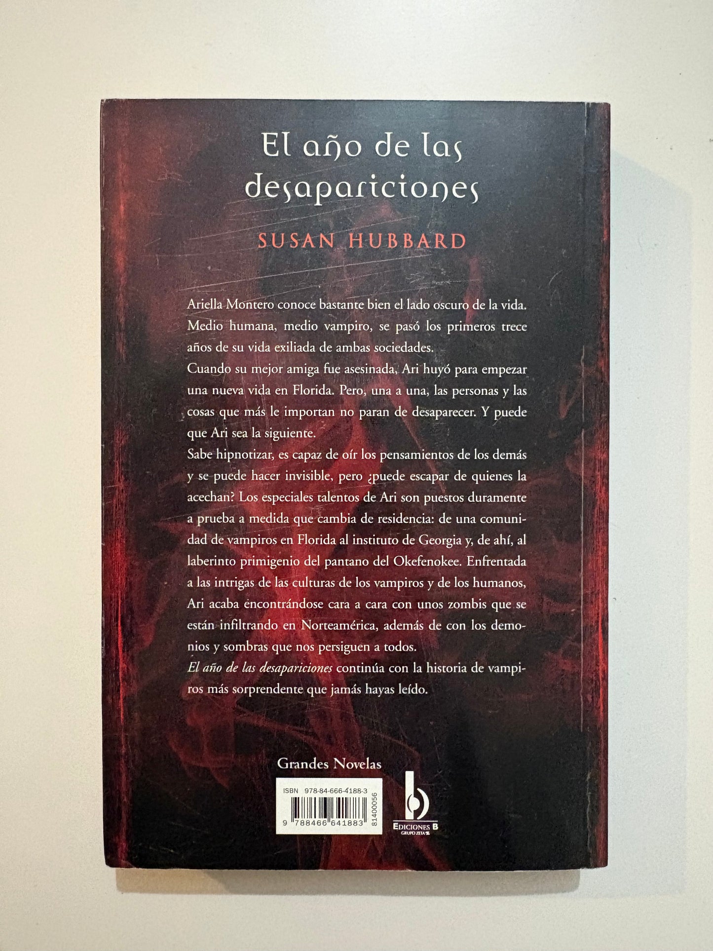 El año de las desapariciones - Susan Hubbard