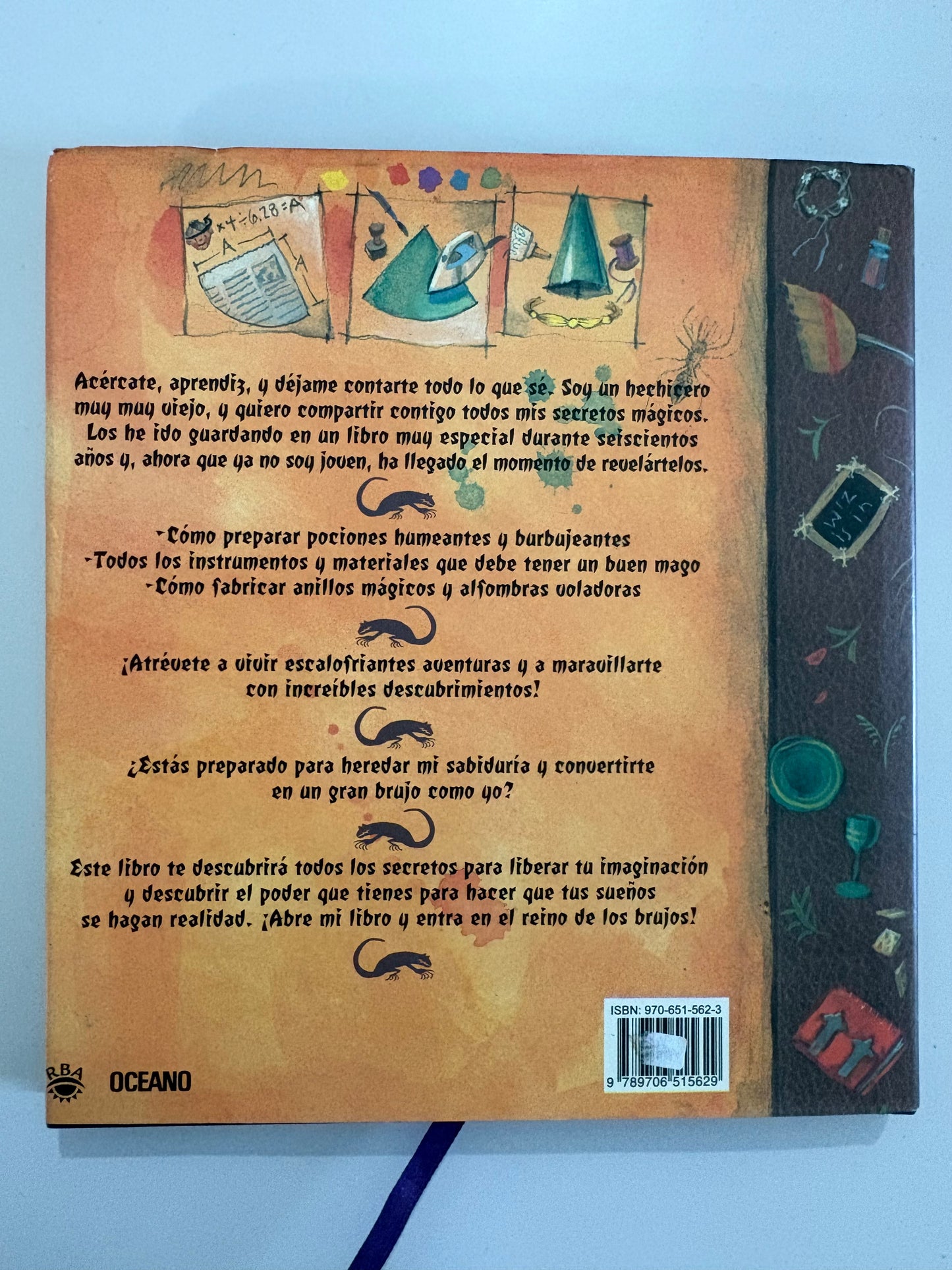 El aprendiz de brujo - Janice Eaton Kilby