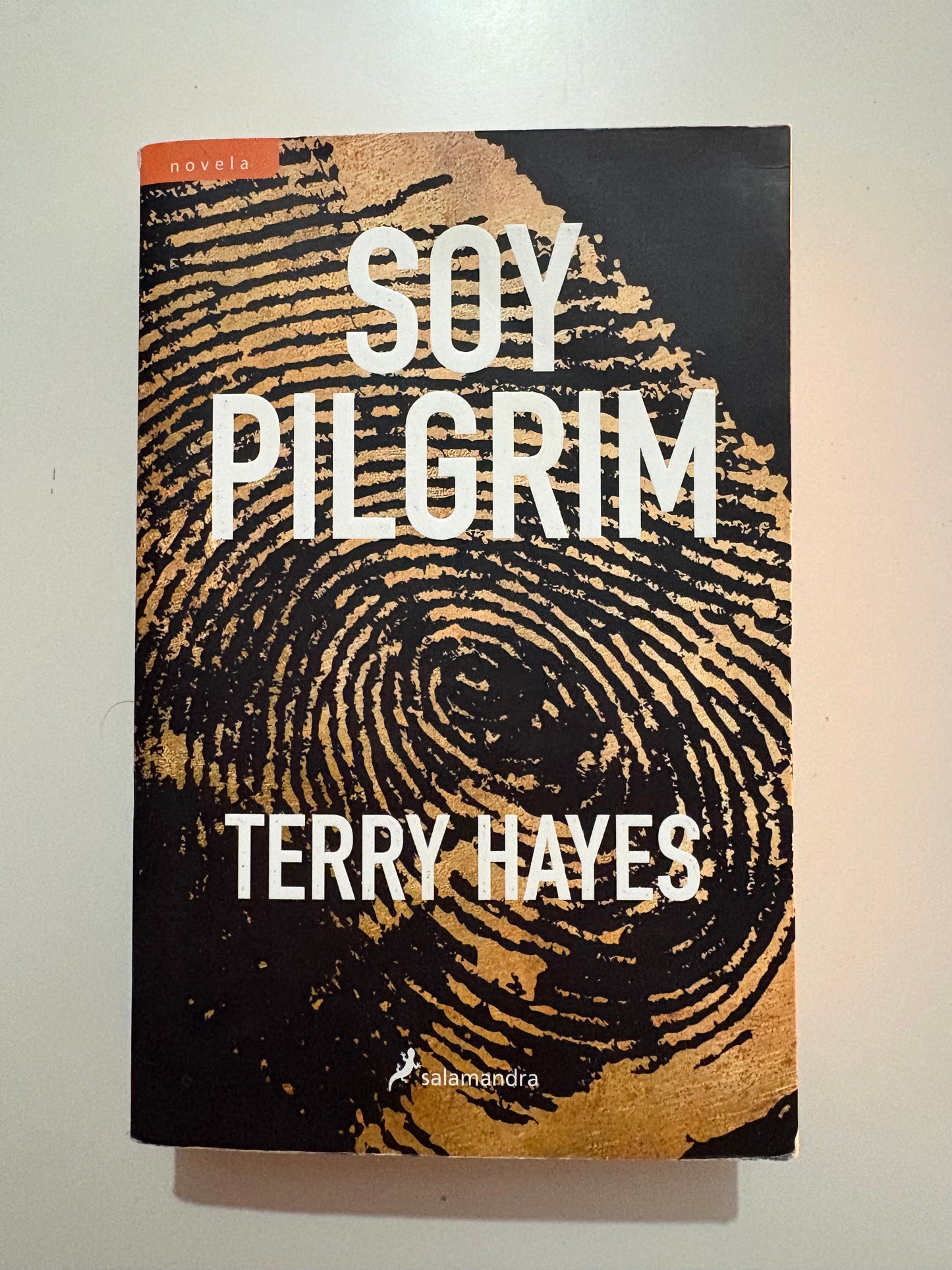 Soy Pilgrim - Terry Hayes