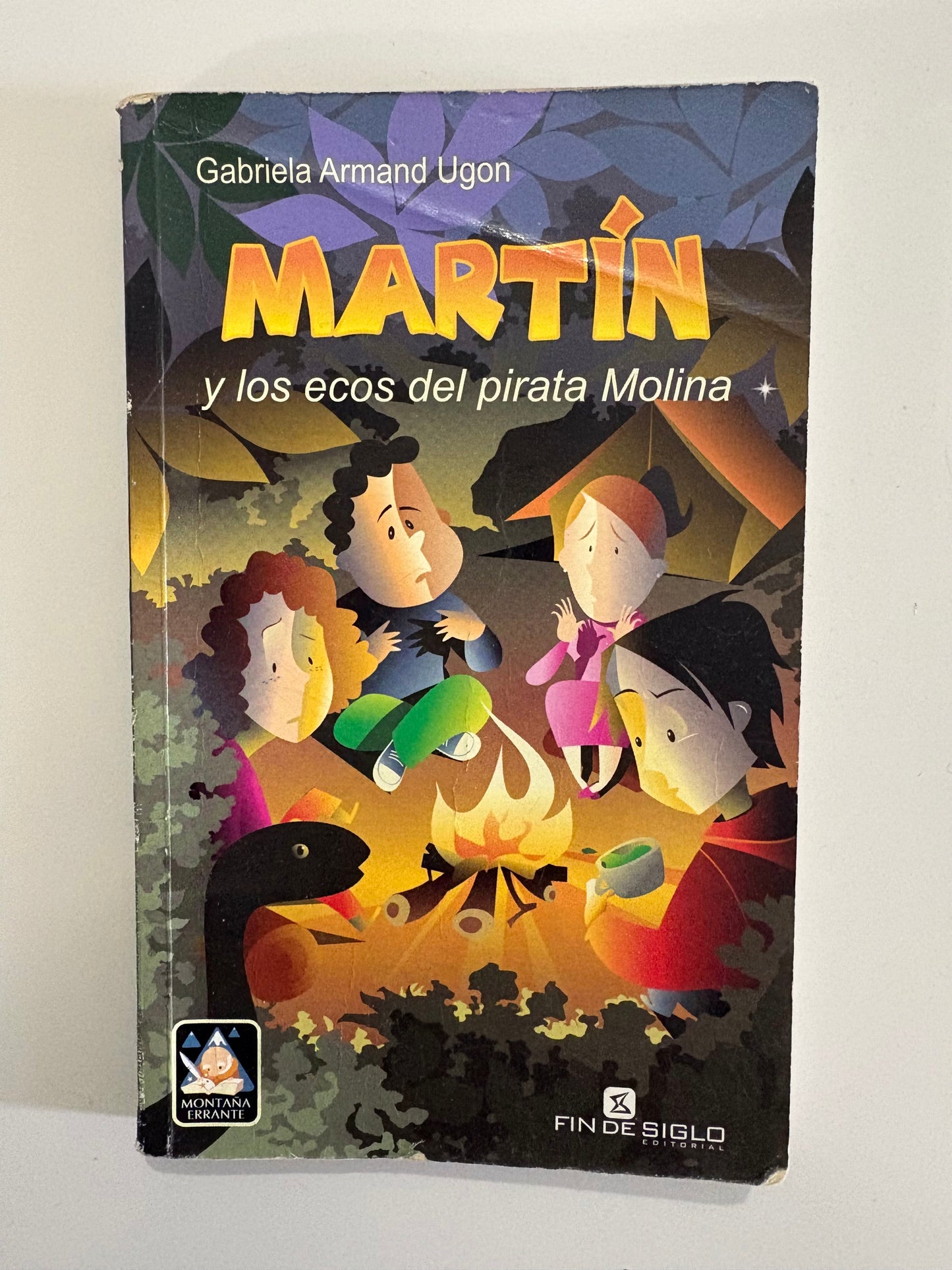 Martín y los ecos del pirata Molina - Gabriela Armand Ugon
